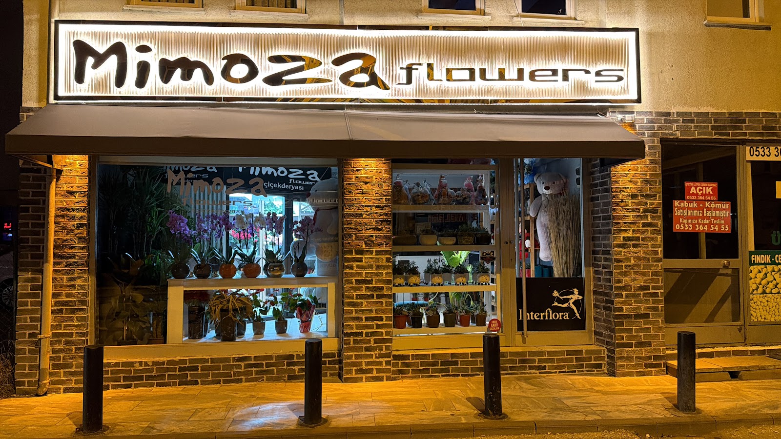 Düzce Mimoza Çiçekçilik kır düğünü mekanı — Merkez