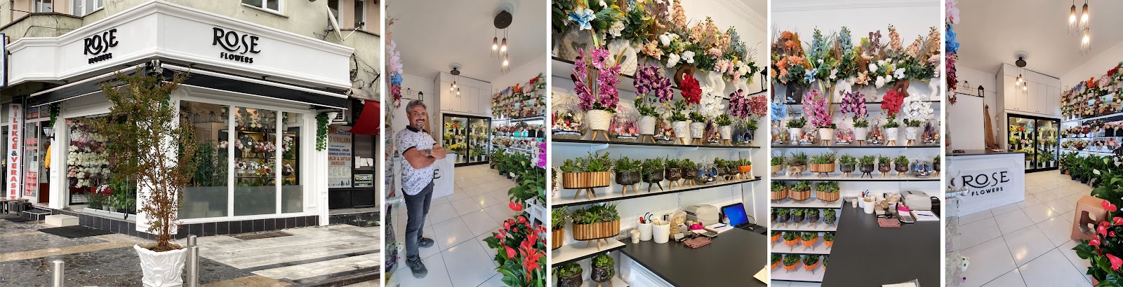 Düzce Rose Flowers Çiçek