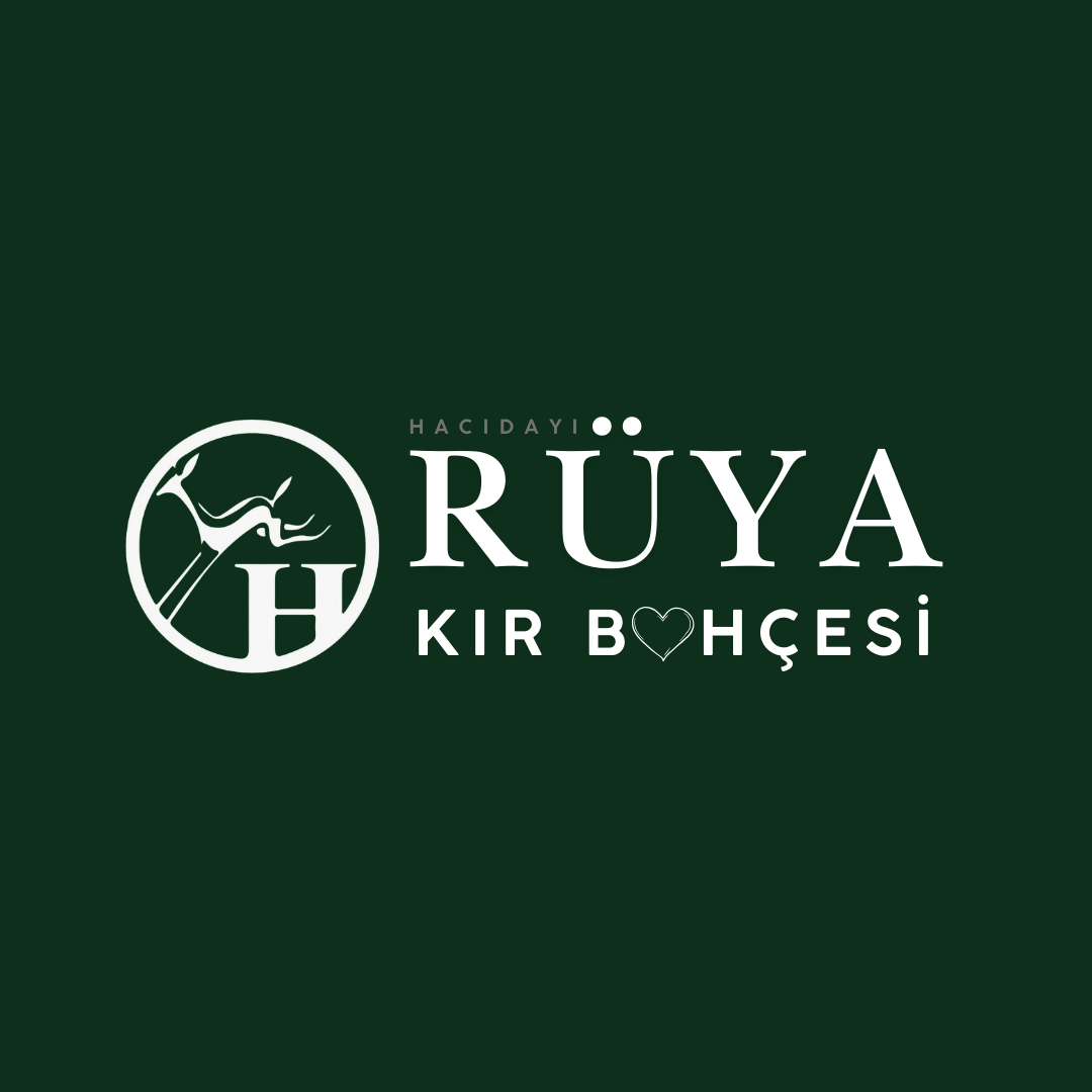 Hacıdayı Rüya Kır Bahçesi Düzce — Merkez, Düzce kır düğünü mekanı görsel 4