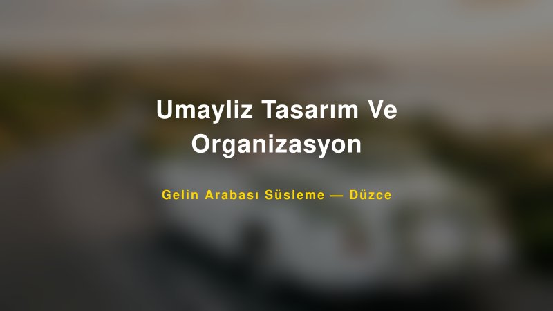 Umayliz Tasarım Ve Organizasyon Düzce Gelin Arabası Süsleme