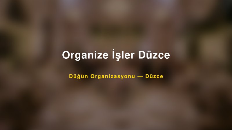 Organize İşler Düzce Düzce Düğün Organizasyon Firması