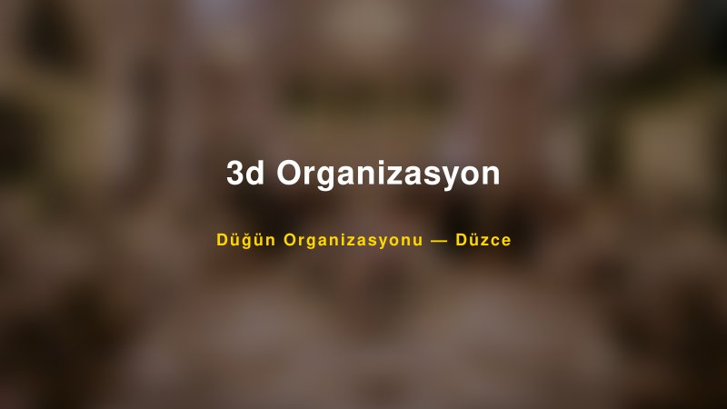 3d Organizasyon Düzce Düğün Organizasyon Firması