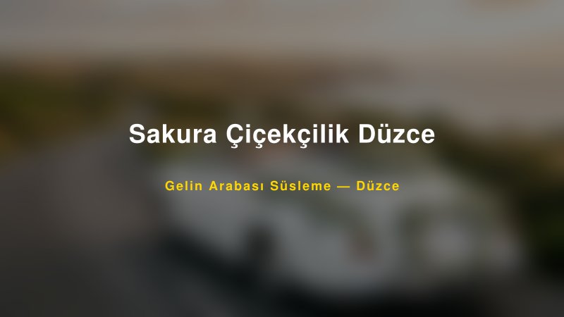 Sakura Çiçekçilik Düzce Düzce Gelin Arabası Süsleme