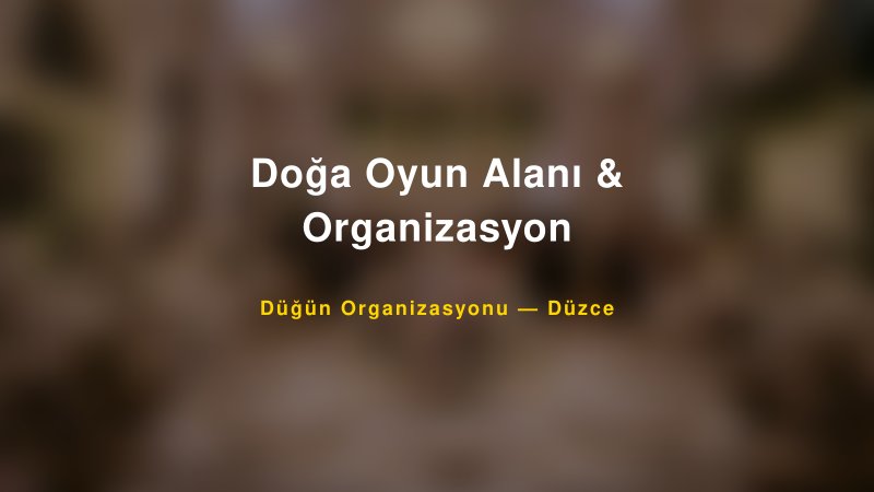 Doğa Oyun Alanı & Organizasyon — Düzce Kır Düğünü Mekanı Rehberi