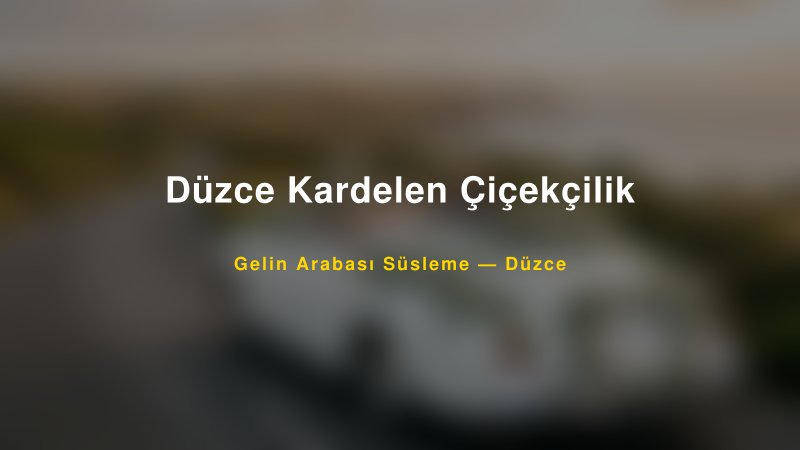 Düzce Kardelen Çiçekçilik Düzce Gelin Arabası Süsleme