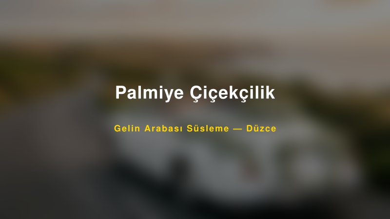 Palmiye Çiçekçilik Düzce Gelin Arabası Süsleme